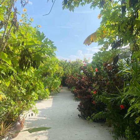 מלון באא אטול Coral Castle - Goidhoo Maldives מראה חיצוני תמונה