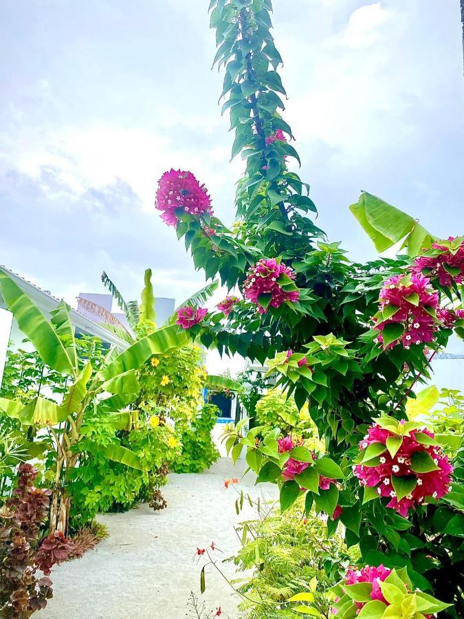 מלון Coral Castle - Goidhoo Maldives מראה חיצוני תמונה