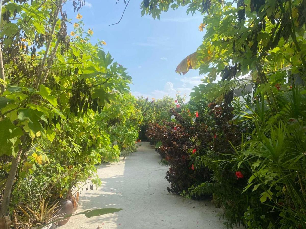 מלון באא אטול Coral Castle - Goidhoo Maldives מראה חיצוני תמונה